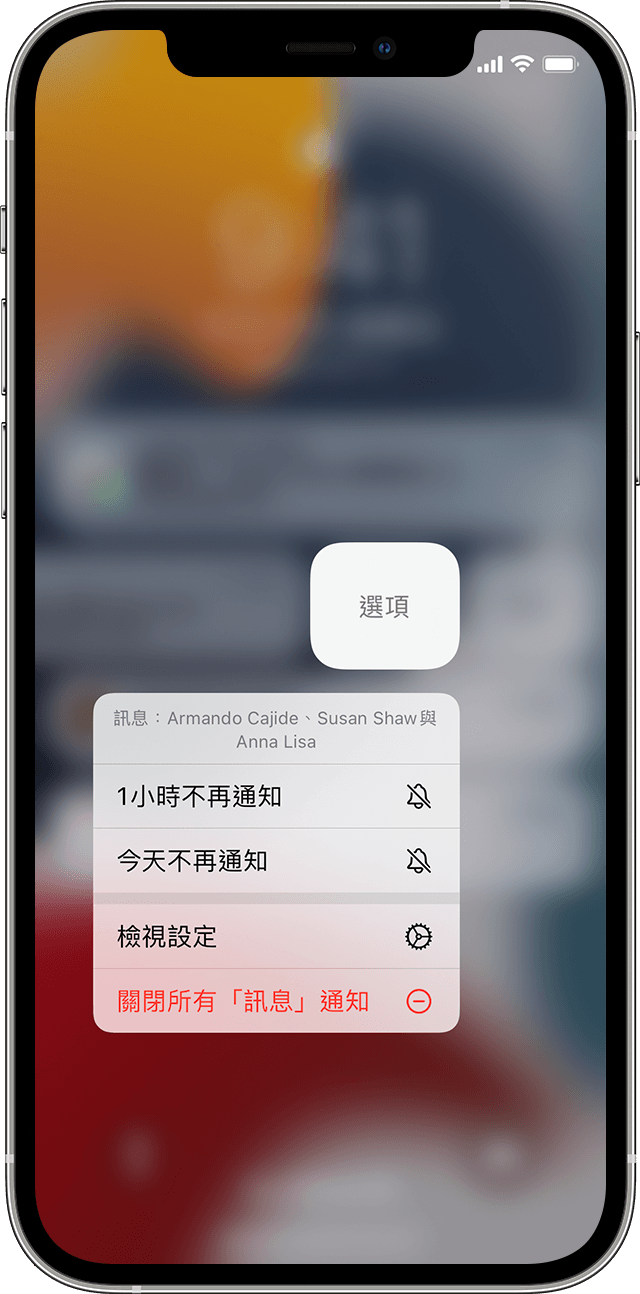 在iphone Ipad 和ipod Touch 上使用通知 Apple 支援 台灣