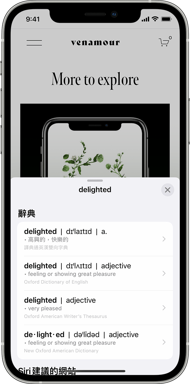 iPhone 使用者使用「原況文字」識別照片中的單詞「delighted」後，在辭典中查詢這個單詞